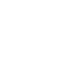 TikTok Logo Link